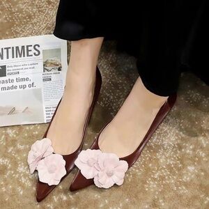 Bigtree Women's Pointed Toe Pumps Low Heel 3cm